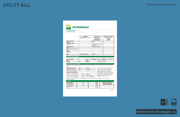 Beispiel einer Gasrechnung des paraguayischen Gasversorgungsunternehmens Petrobras Paraguay Operations and Logistics (Vorschau)